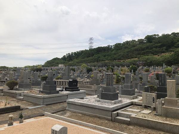 2d3bb2034c3e775348455045a66c86