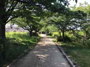 ダンバラ公園横の泉佐野市公園墓地の募集についてご紹介