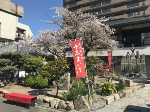 太平寺境内墓地のご紹介