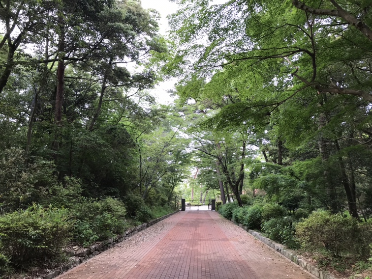神戸市中央区の山手にあります神戸市営追谷墓園から、再山の方へ向かい約20分諏訪山公園を過ぎてしばらく行った所にある外国人墓地