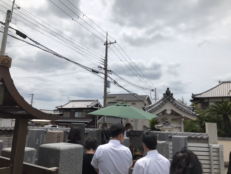 明石市観音寺の沙羅の花が見頃です。