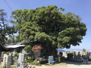 宝珠寺（豊中市）の墓地