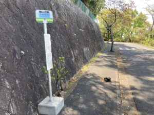 高槻市公園墓地の募集とお墓