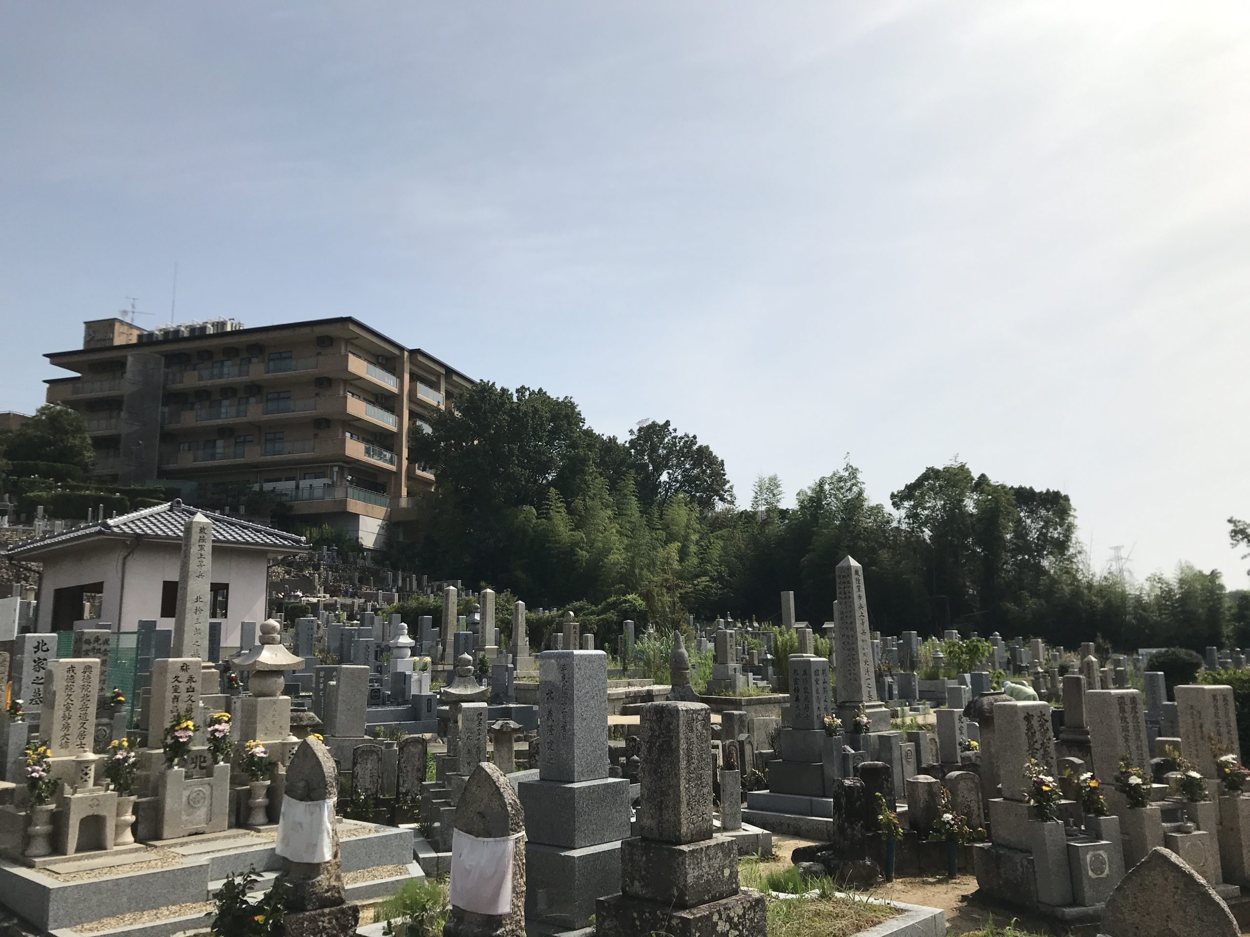 川面墓地の写真