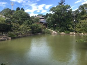 光徳霊園（岬町）のお墓