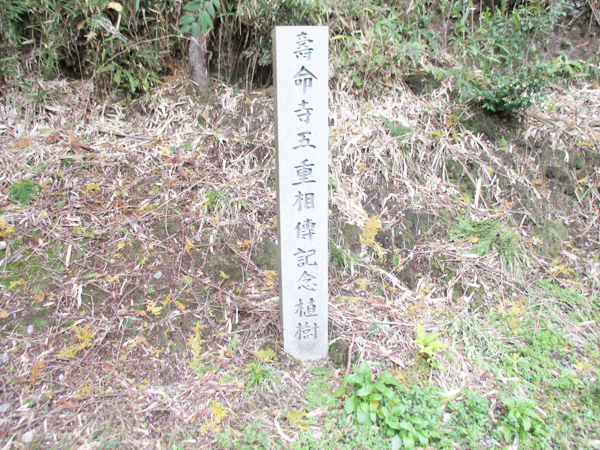 興戸山添墓地4（京都府京田辺市）