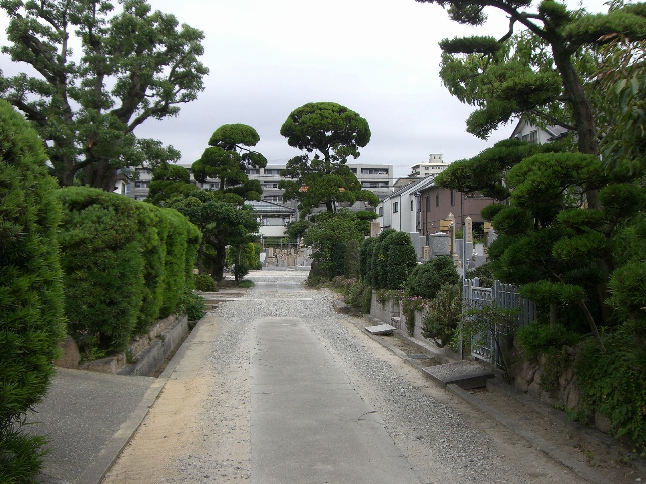 芦屋市にある歴史上由緒あるお寺　親王寺境内墓地の様子