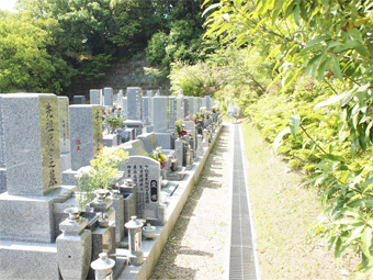 彫刻と納骨までの流れ お墓を実際に確認