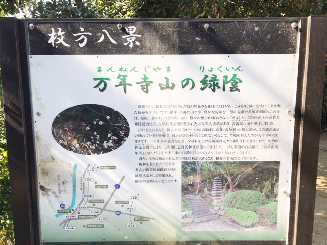 枚方市の意賀美神社