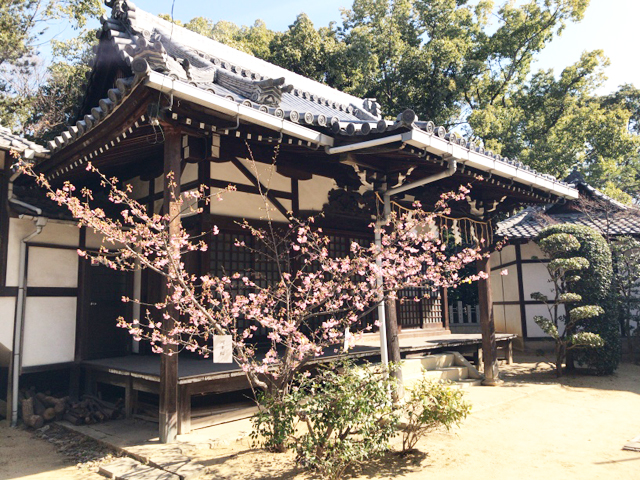 枚方市の意賀美神社