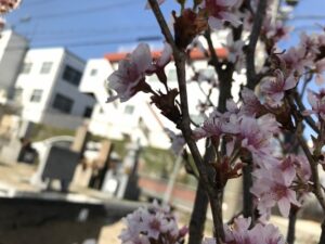 高松墓地（神戸市兵庫区）にお墓の確認に来ました。21.3.27