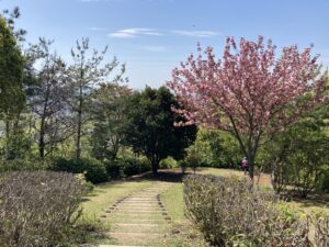 高槻市公園墓地の募集とお墓