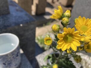 21.4.11_高松墓地（神戸市兵庫区）のお供えのお花が綺麗です。