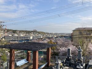 21.4.3_明石海峡が見える墓地、乙木墓地（神戸市垂水区）でお墓の確認です。