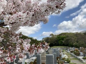 令和3年度神戸市立墓園　使用者募集が始まるので舞子墓園に下見に来ました。