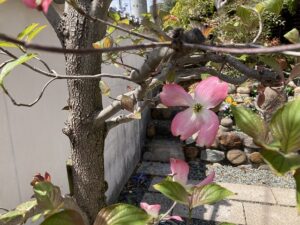 平井南墓地（宝塚市）の墓地の様子