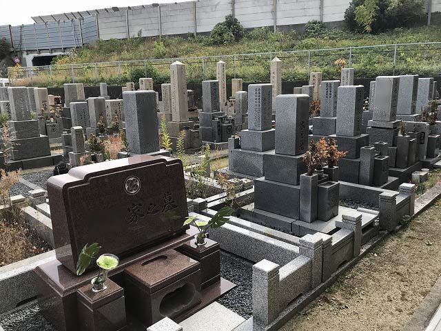 9c46f01a47c210fe0d4142acd2c71d