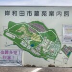 岸和田市墓苑（流木墓苑）のお墓