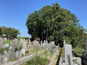 赤坂共同墓地（神戸市西区）のお墓