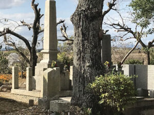 神納愛宕山墓地（神戸市西区）のお墓