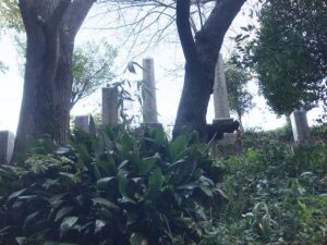 黒田墓地（神戸市西区）のお墓