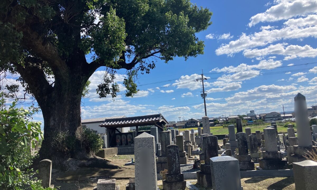 坊之池河原田墓地(京都府久世郡久御山町)のご紹介。の写真5