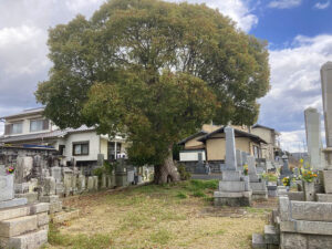 中村菊徳御堂墓地（加古郡稲美町）のお墓