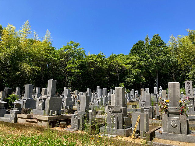 養父寺墓地（小野市）のお墓