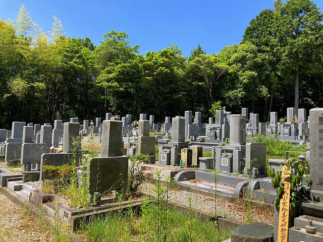 養父寺墓地（小野市）のお墓