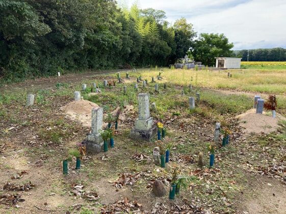 蓬莱野墓地（小野市）のお墓