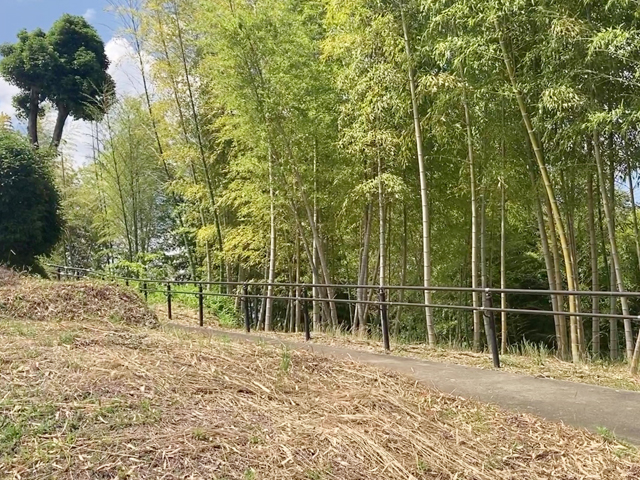 下海印寺財産区墓地（京都府長岡京市）のお墓