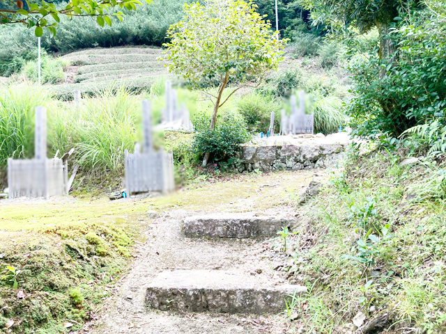 小杉垣内墓地（京都府相楽郡和束町）