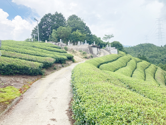 尾根墓地（京都府相楽郡和束町）