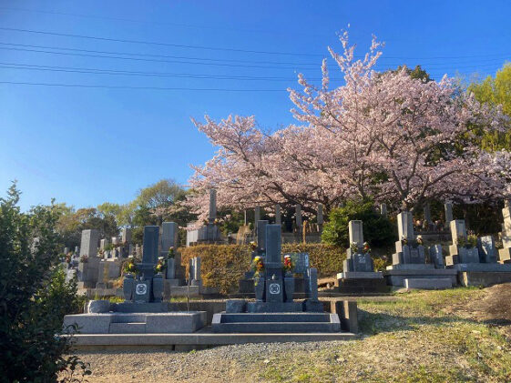 池尻墓地（加古川市）のお墓