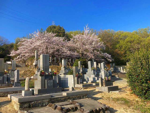 池尻墓地（加古川市）のお墓
