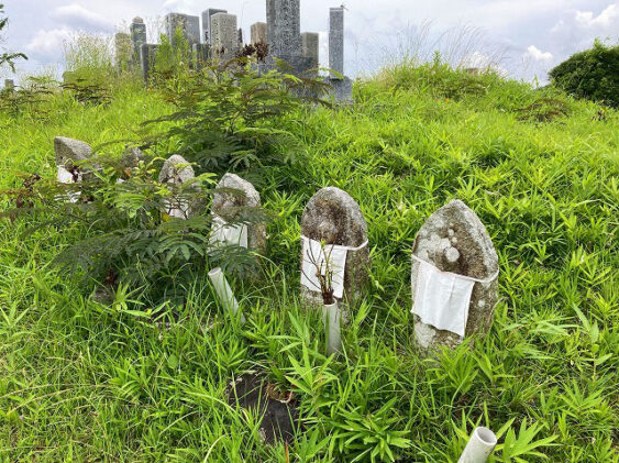 下相野北墓地（三田市）のお墓