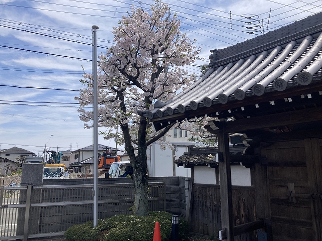 大昌寺（尼崎市）のお墓