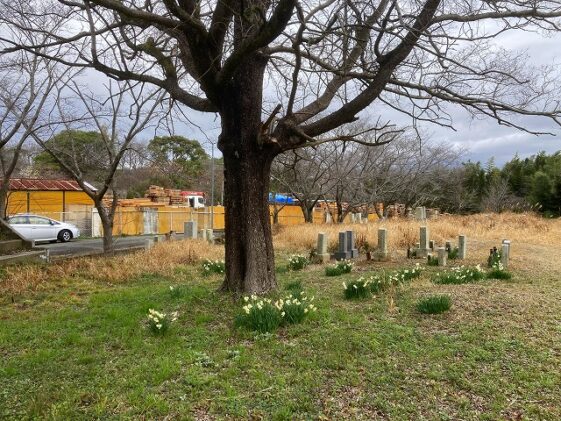薬栗墓地（加古川市）のお墓