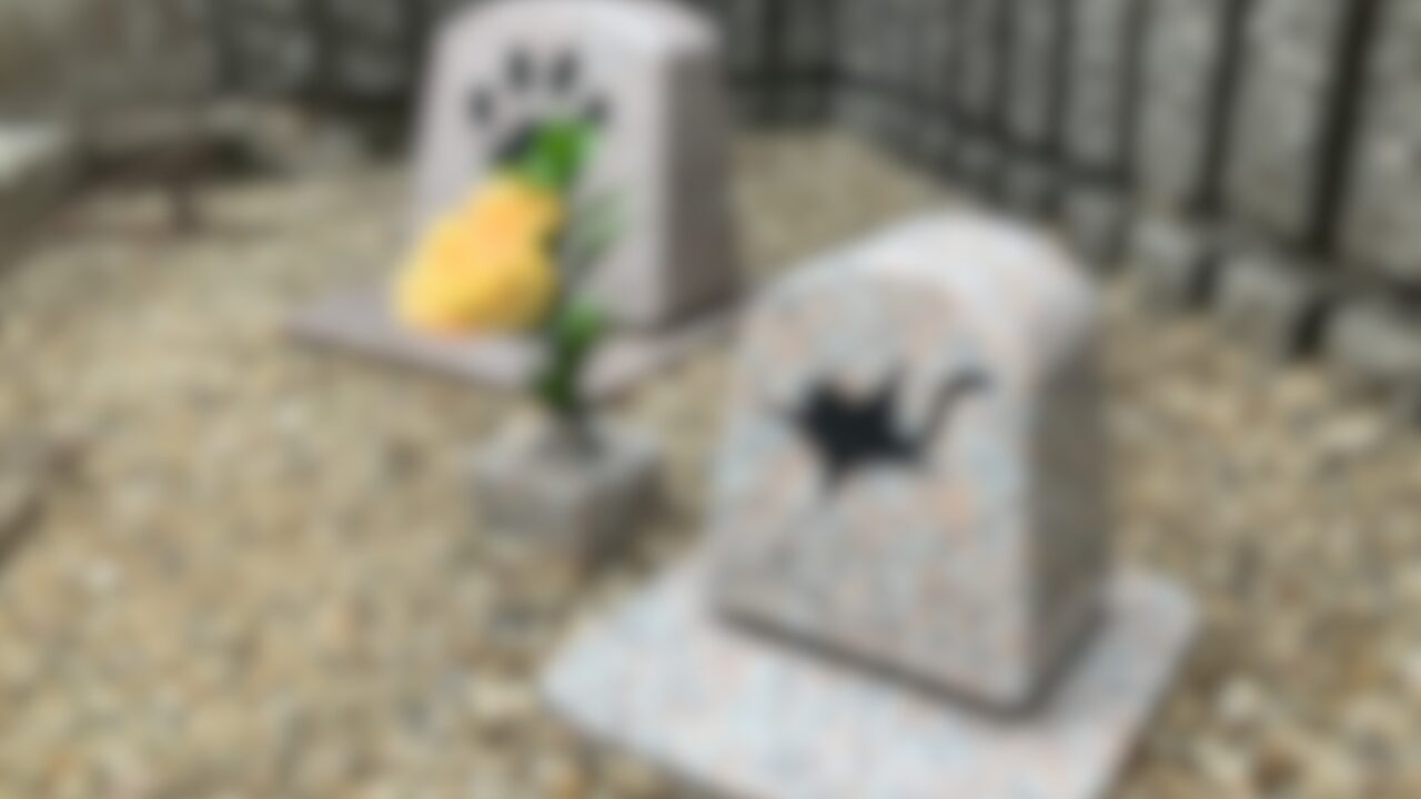 ペット墓」に戒名彫刻をさせていただきました｜ペット墓についてのお
