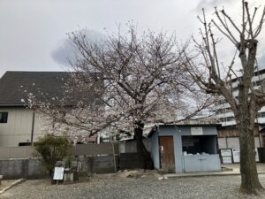 加茂墓地（川西市）のお墓