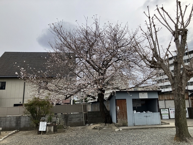 加茂墓地（川西市）のお墓