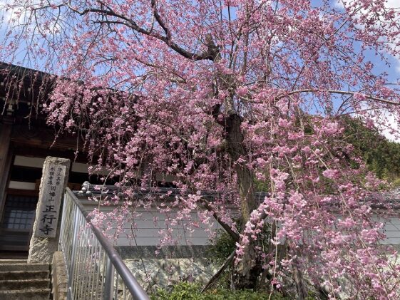 正行寺墓地（三田市）のお墓
