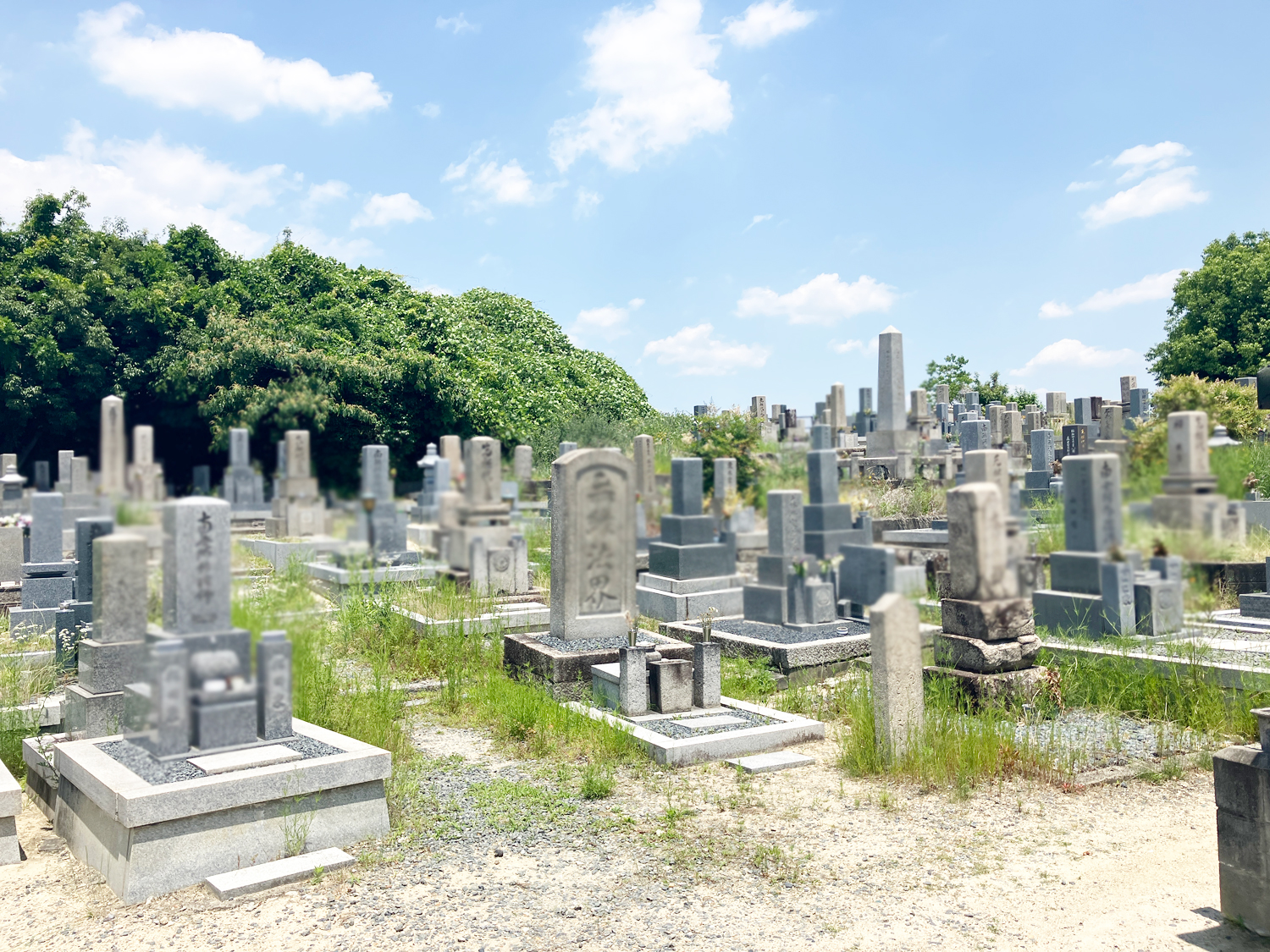 北中振共同墓地（枚方市）のお墓