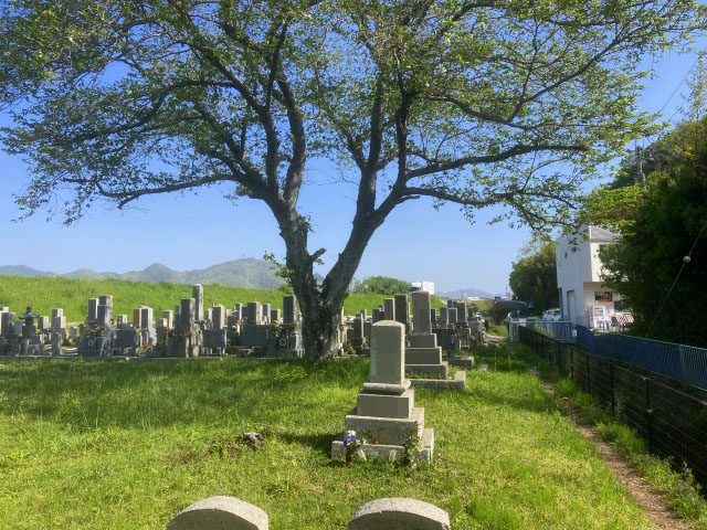 揖保上墓地（たつの市）のお墓