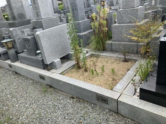 中野墓園（伊丹市）のお墓