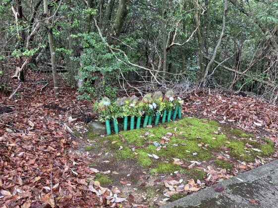 長尾町墓地（小野市）のお墓
