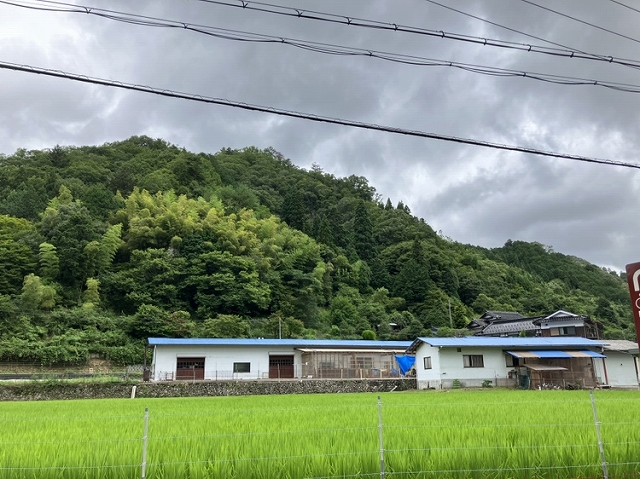 佐用町でお墓じまい