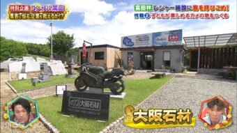 MBS「ゼニガメ」