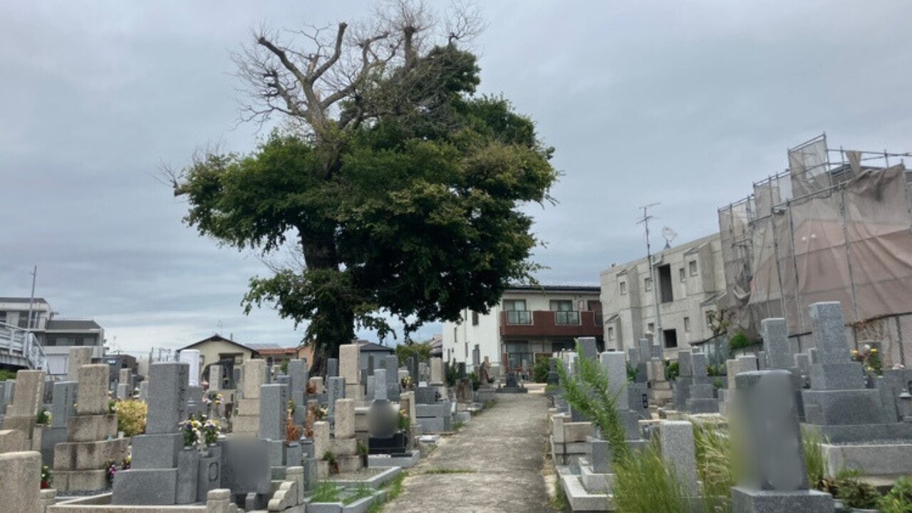 二大字共有墓地(豊中市)