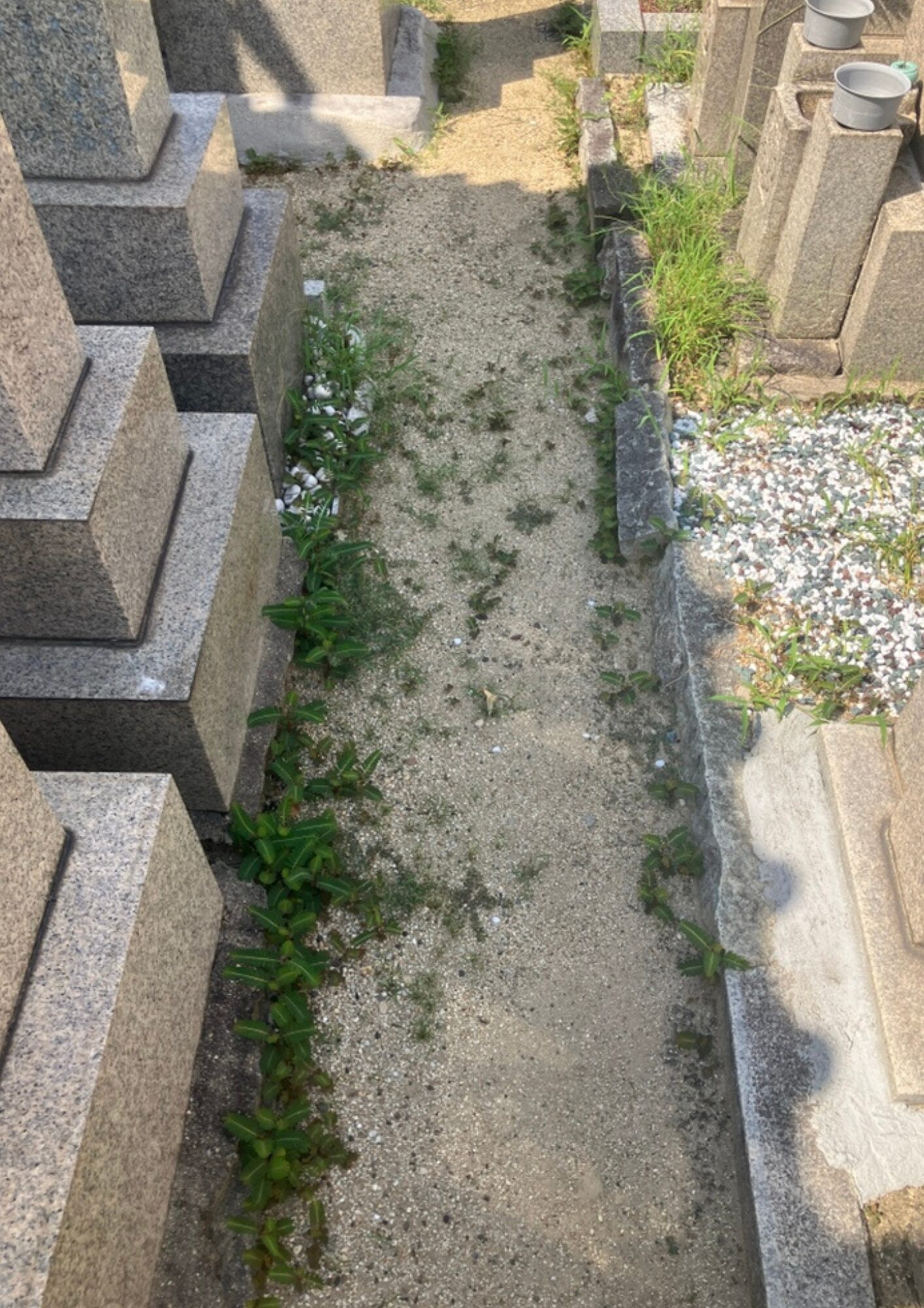 田島墓地（大阪市生野区）